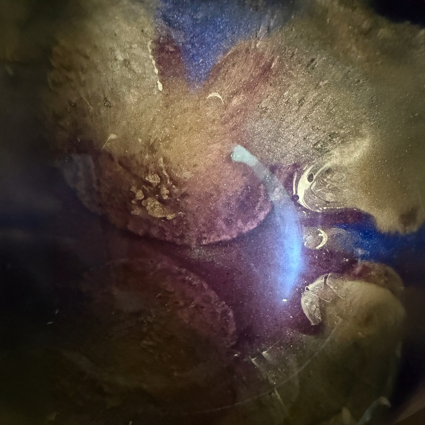 Medium Bronze and Burgundy Bowl with Antique Gold Accents- Affordable Essentials Collection